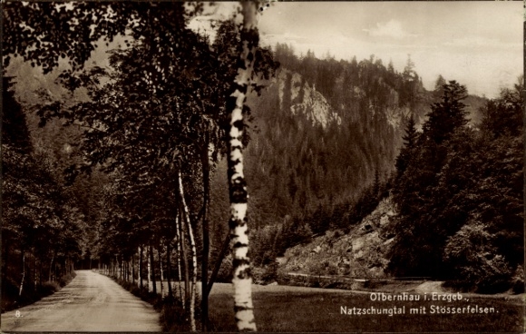 Ak Olbernhau im Erzgebirge, Olbernhau i.Erzgeb, Natzschungtal, Stösserfelsen, Straße, Bäume