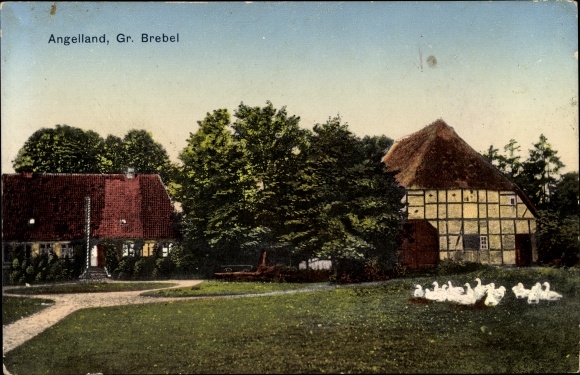 Ak Groß Brebel in Schleswig Holstein, Angelland, Dorfpartie, Fachwerkhaus, Enten auf der Wiese
