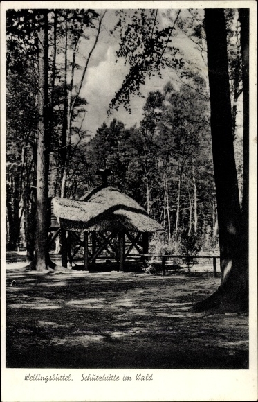 Ansichtkaart Hamburg Wandsbek Wellingsbüttel, toevluchtsoord in het bos