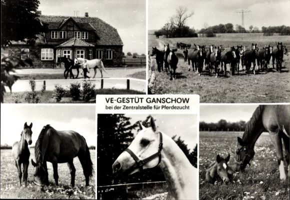 Postcard Ganschow Gutow in Mecklenburg, two-part PC, house, horses, rural landscape