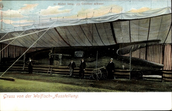 Postcard whale exhibition, whale on a covered stage