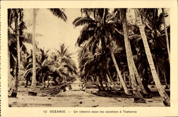 Ak Teaharoa Frans-Polynesië, een pad tussen de kokospalmen