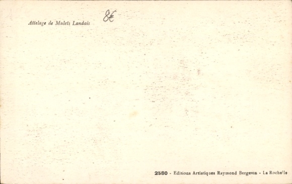 CPA La Rochelle, Attelage de Mulets Landais