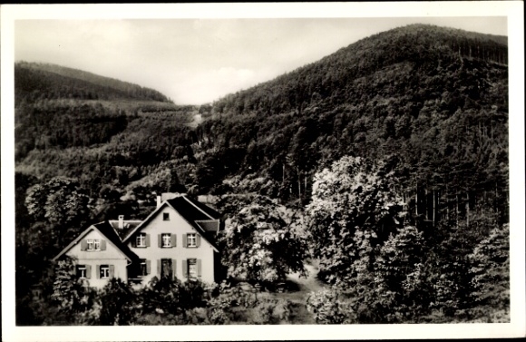 Ak Gernsbach im Schwarzwald, Schloss Eberstein, Waldrestaurant Neuhaus, am Fuße des Merkur, Natur