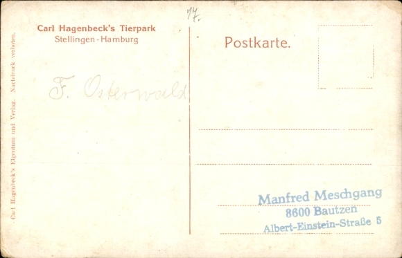 Postcard Hamburg Eimsbüttel Stellingen, Carl Hagenbeck's Zoo, Nordland Panorama, polar bears, seals