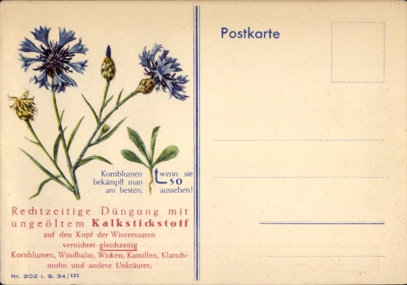 Postcard Cornflowers, Timely top dressing of winter crops with unoiled calcium cyanamide