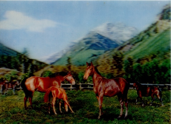 3-D Ak Pferde, Berge