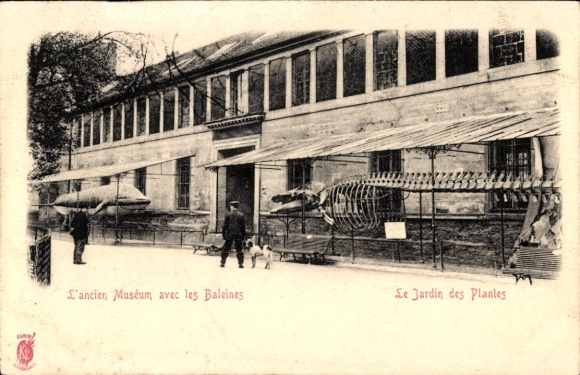 CPA Parijs V, Jardin des Plantes, L'Ancien Museum met les Baleines