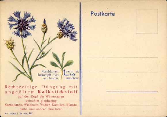 Postcard Cornflowers, Timely top dressing of winter crops with unoiled calcium cyanamide