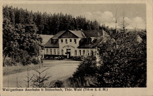 Postcard Stützerbach Ilmenau Thuringian Forest, Waldgasthaus Auerhahn