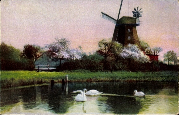 Postcard Windmill, Swans, Pond, Meadow