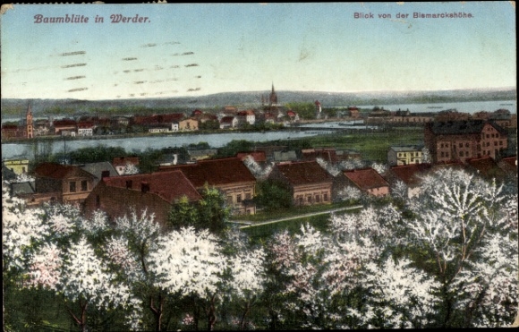Postcard Werder an der Havel, tree blossom, view from the Bismarckhöhe