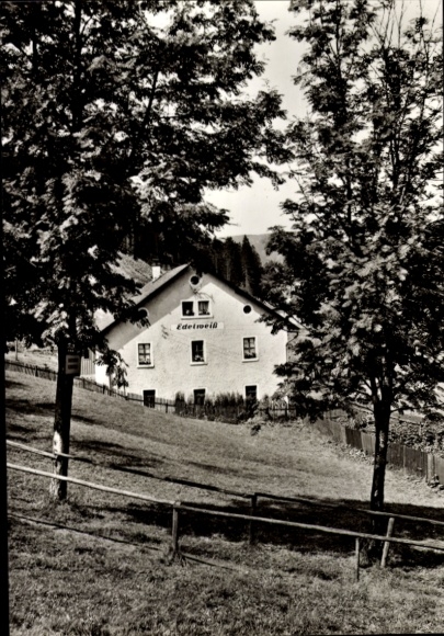 Postcard Johanngeorgenstadt in the Ore Mountains, Edelweiss, holiday home, building in the countryside, trees, rural surroundings