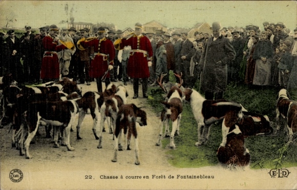 Ak Frankreich, Chasse à courre en Forêt de Fontainbleau, Jagdhunde