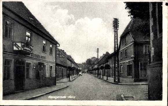 Ak Harzgerode am Harz, Hotel Weisses Ross, Straße mit Bäumen,  Architektur