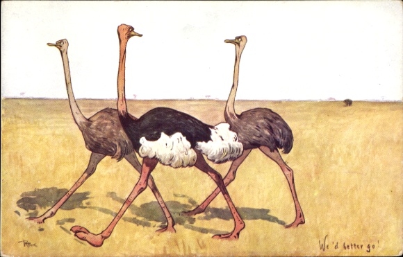 Artist Postcard Ostriches in the Desert, BKWI 954-14