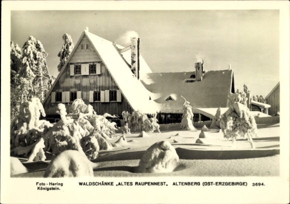 Ak Altenberg im Erzgebirge, Waldschänke Altes Raupennest, verschneiter Winter, Bauwerk, Tannen