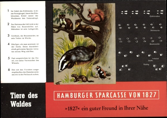 Timetable Neue Sparkasse Hamburg, animals of the forest, squirrels, martens, etc. around 1960