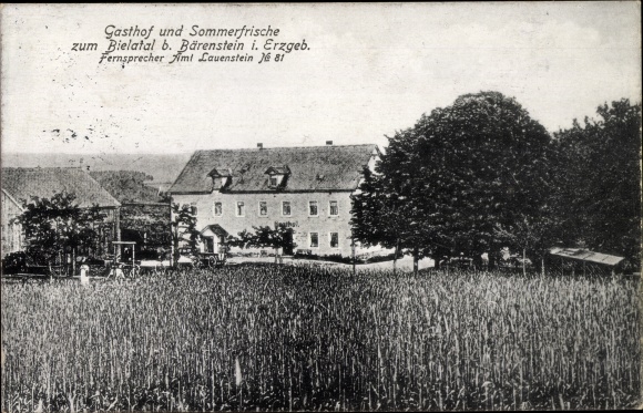 Postcard Bärenstein Altenberg in the Erzgebirge, Gatshof to the Bielatal, field