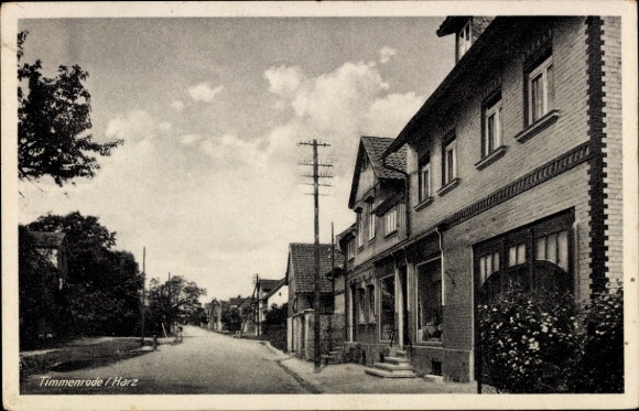 Postcard Timmenrode Blankenburg am Harz, street, shop, facades