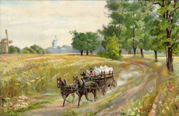 Ak Rundhof Stangheck Landschaft Angeln, Pferdewagen auf Feldweg, rechts Bäume, links Getreidef...