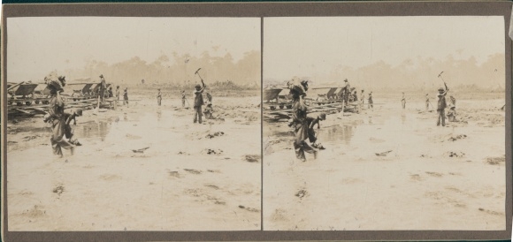 Stereofoto Venezuela, wegenbouw, Afrikaanse arbeiders, wereldreis 1914