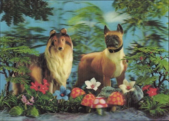 3 D Postcard Two dogs, mushrooms, collie, boxer
