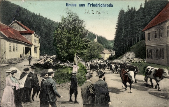 Postcard Friedrichroda in the Thuringian Forest, greetings from cows on the street, people in n dresses