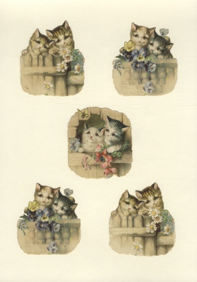 5 kotków waflowych, każdy o wymiarach ok. 7,5 x 7 cm