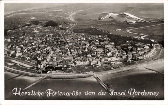 Postcard North Sea resort Norderney East Frisia, aerial photo, seagull