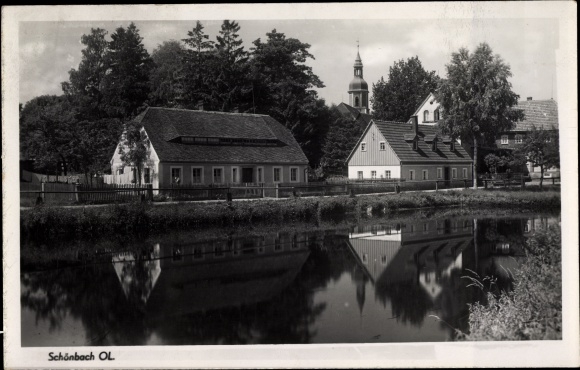 Foto ansichtkaart Schönbach in Oberlausitz, vijvergebied met uitzicht op huizen en kerk