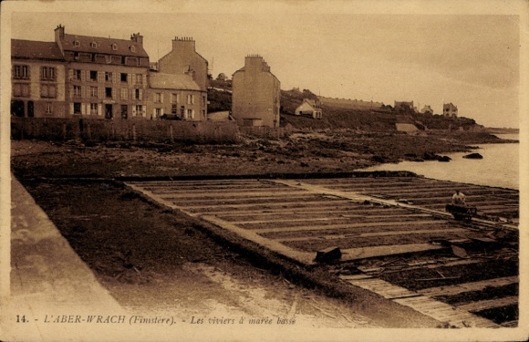 CPA L'Aber Wrac'h Finistère, Les viviers à marée basse