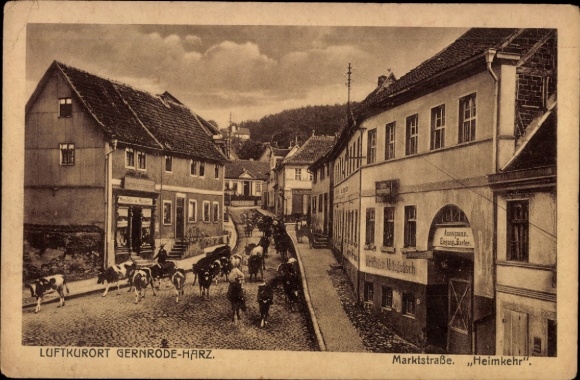 Ak Gernrode Quedlinburg in het Harzgebergte, luchtkuuroord Gernrode-Harz, Marktstraße, thuiskomst, gebouwen, koeien