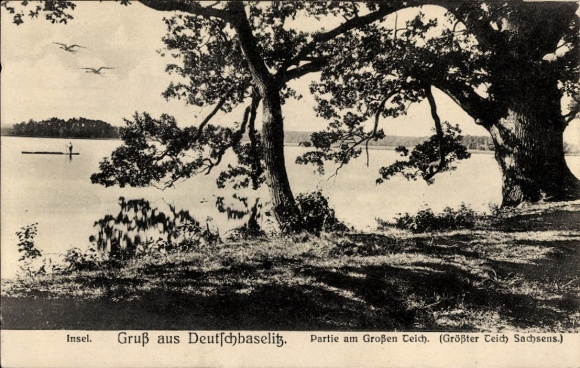 Postcard Deutschbaselitz Kamenz Saxony, Island, Great Pond, Greetings from Saxony