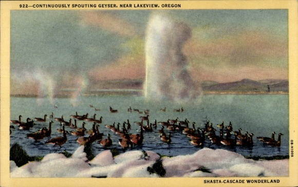Ak Oregon USA, Dauerhafter Geysir in der Nähe von Lakeview, Enten auf See
