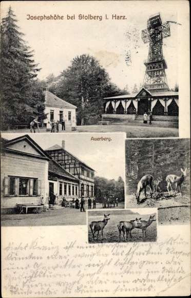 Postcard Stolberg Südharz, Josephshöhe, Auerberg, deer, observation tower, inn
