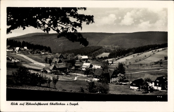 Ak Schellerhau Altenberg im Erzgebirge, Panorama