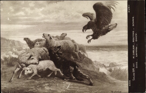 Artist Postcard Sheep, Eagle