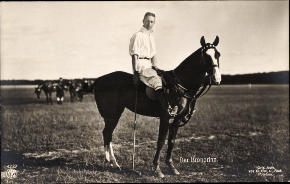 PC Crown Prince Wilhelm of Prussia, horse, polo, NPG 4239