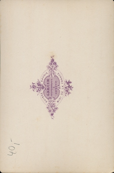 Cabinet photo Vevey Canton of Vaud, 1881, Vue generale, La Dent du Midi
