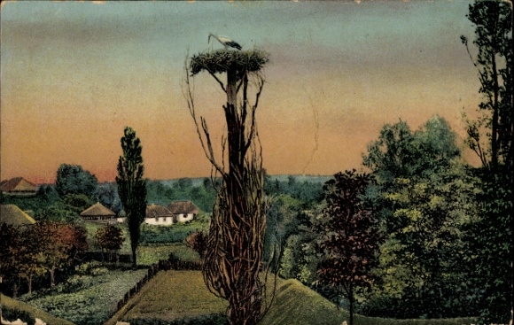 PC motif from Ukraine, stork's nest, village