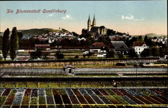 Ak Quedlinburg in het Harzgebergte, stad van bloemen, bloemen