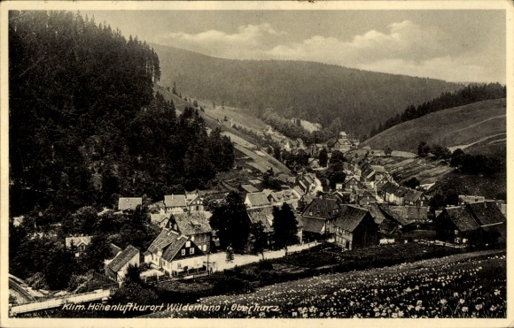 Ak Wildemann Clausthal Zellerfeld im Oberharz, Blick auf den Ort mit Umgebung