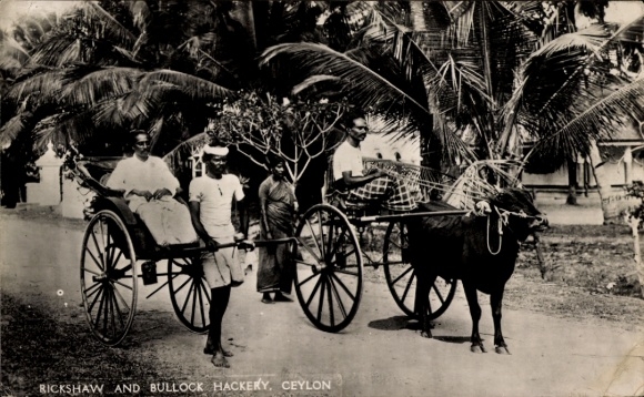 Postcard Ceylon Sri Lanka, Rickshaw and Bullock Hackery, oxcart
