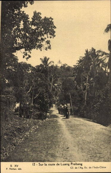 Ak Luang Prabang Laos, Sur la route de Luang Prabang, Elefanten auf dem Weg