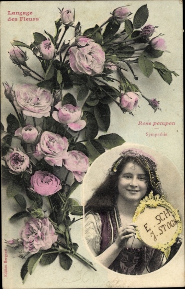 Postcard Language of Flowers, Pompom Rose, Sympathy