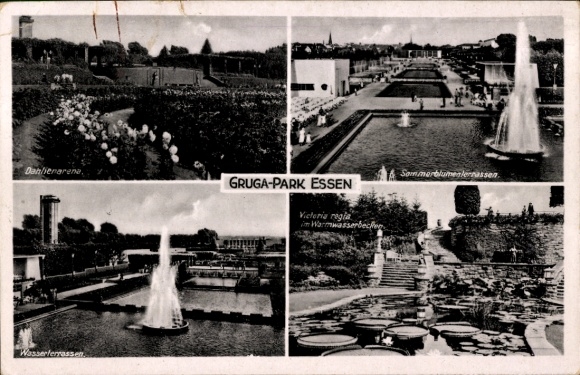Ak Essen im Ruhrgebiet, Gruga-Park, Danlienarena, Wasserferrassen, Victoria regia, Sommerblumenle