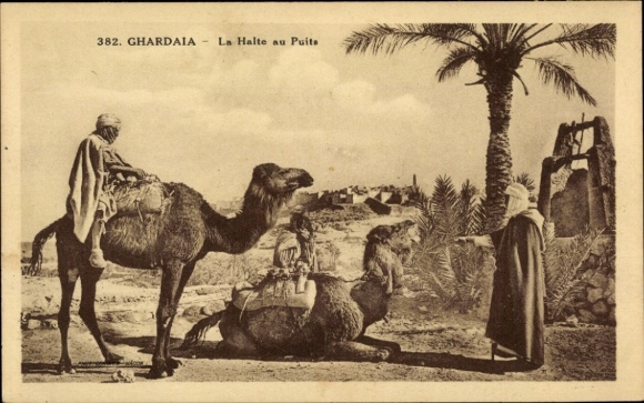 CPA Ghardaïa Algérie, Lahalte au Puits, camels