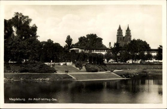 50 Ak Magdeburg Elbe, diverse Ansichten, kleinformatig