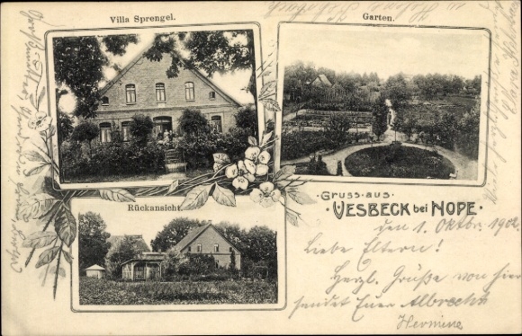 Postcard Vesbek Vesbeck Neustadt am Rübenberge, Sprengel house, garden